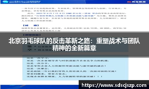 北京羽毛球队的反击革新之路：重塑战术与团队精神的全新篇章
